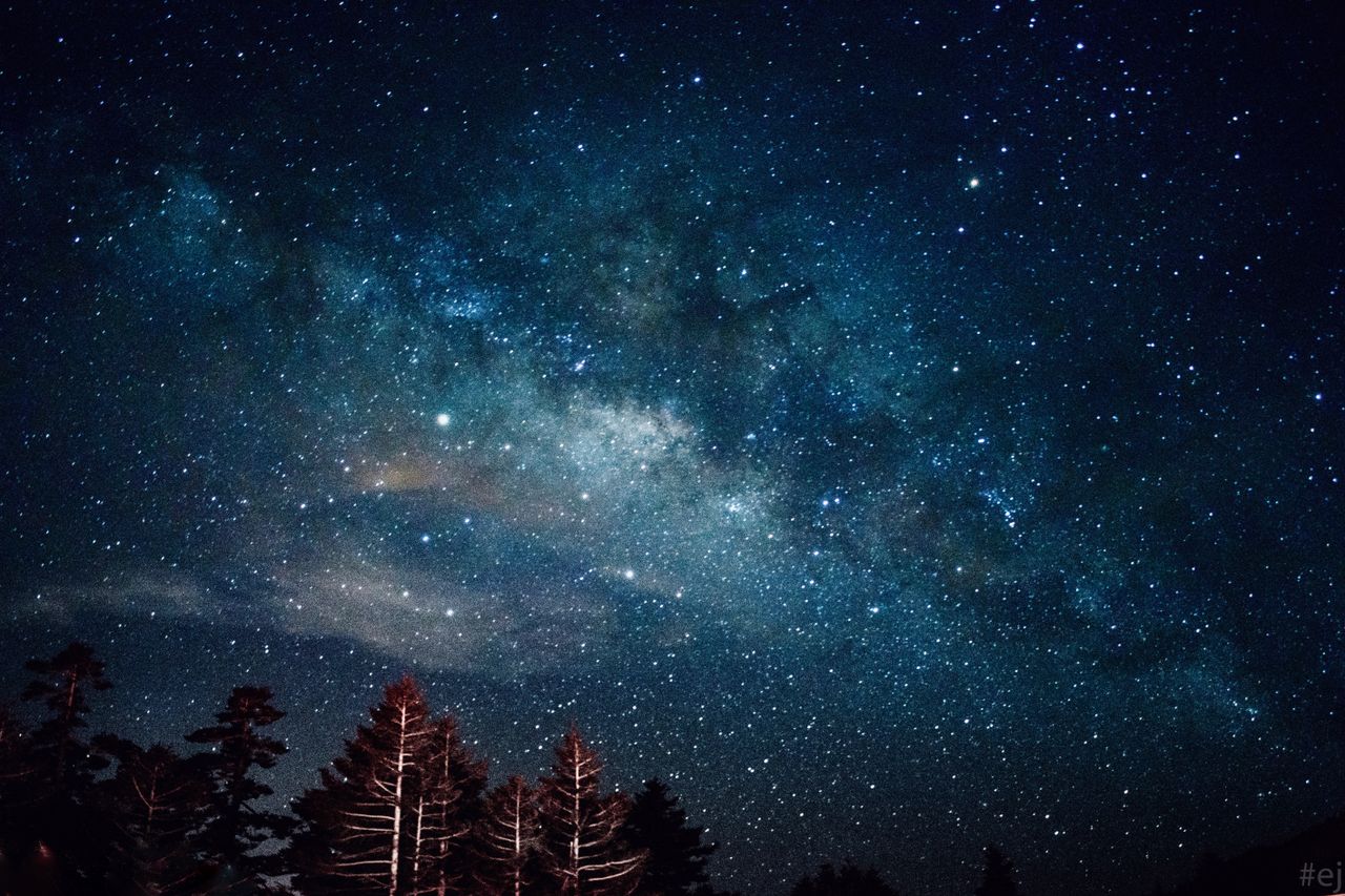 capture of the milky way galaxy arching over a tranquil forest night s