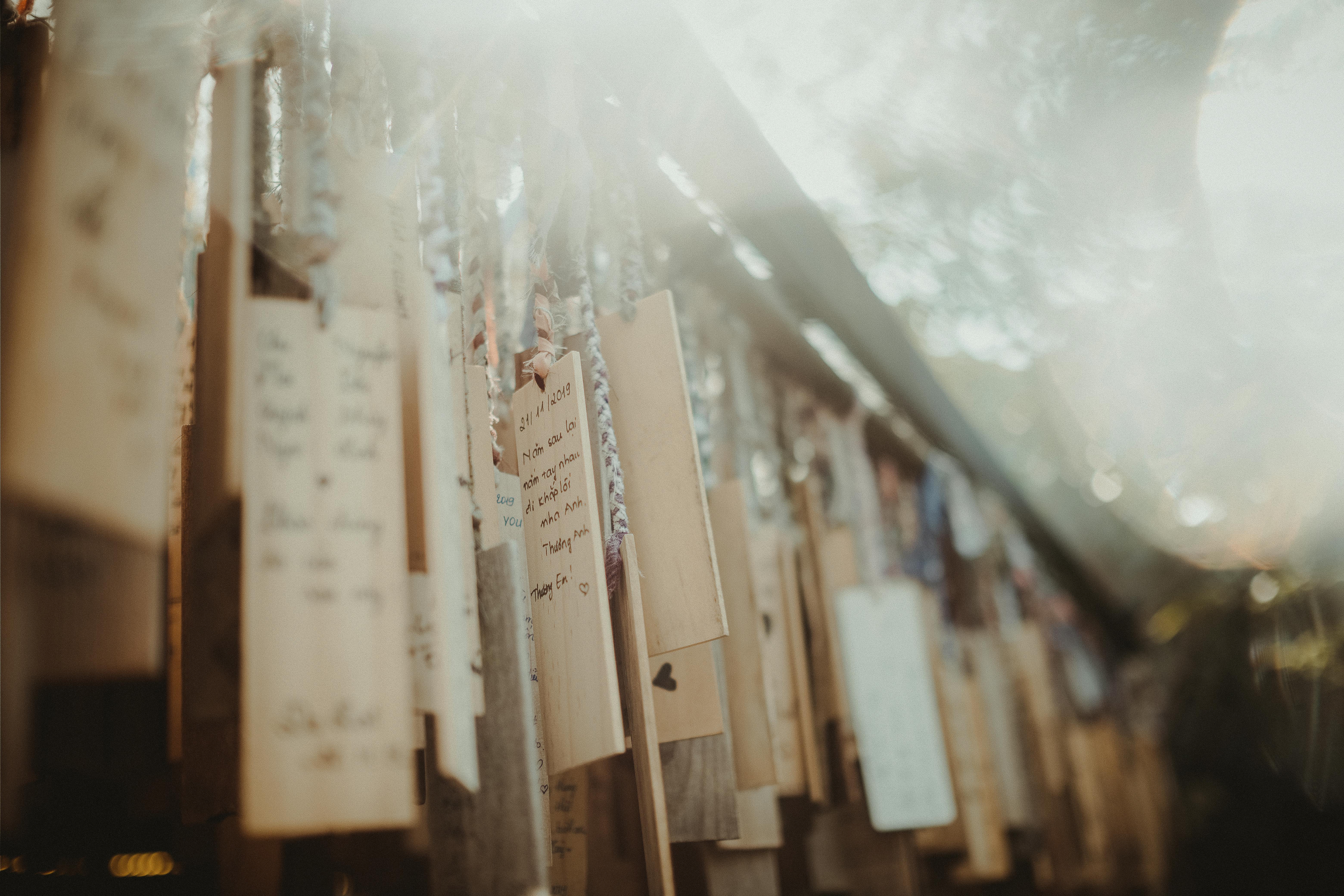 Basking in the Serenity: Unveiling the Blissful Sunday Morning Ritual