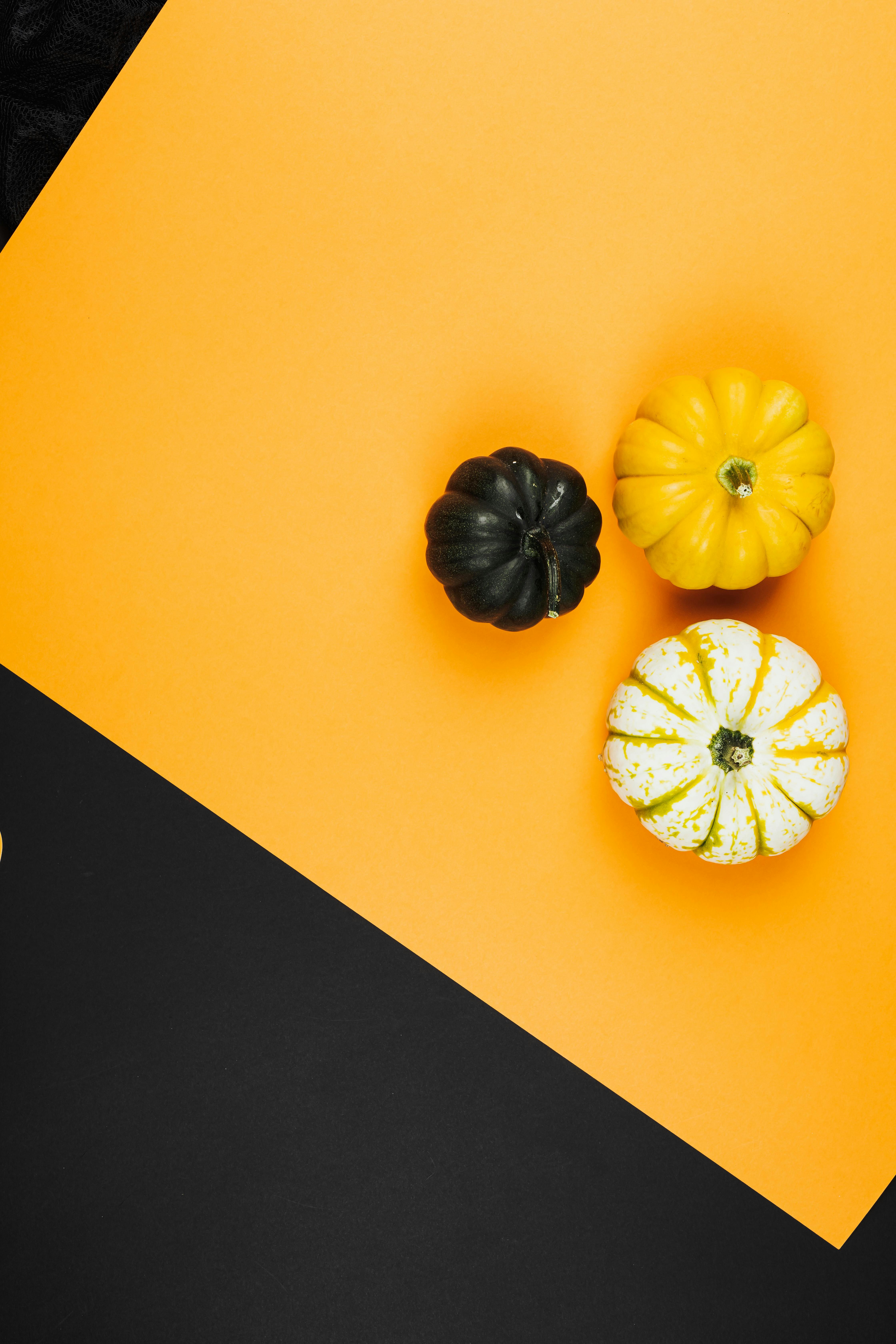 黑色和橙色背景上的三个彩色南瓜非常适合秋季主题