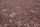 cocoa beans