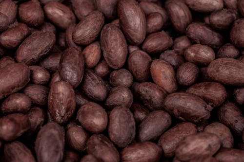 Full Shot of Brown Cocoa Beans