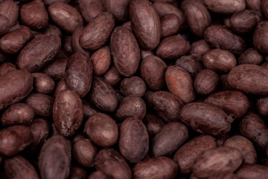 How to Keep Weevils Away from Your Beans and Grains