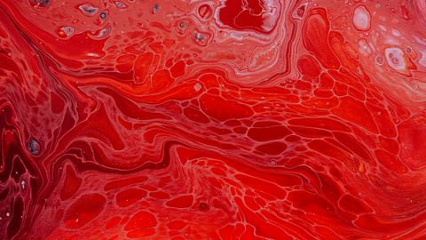 The gut-liver axis and what the portal vein is actually carrying