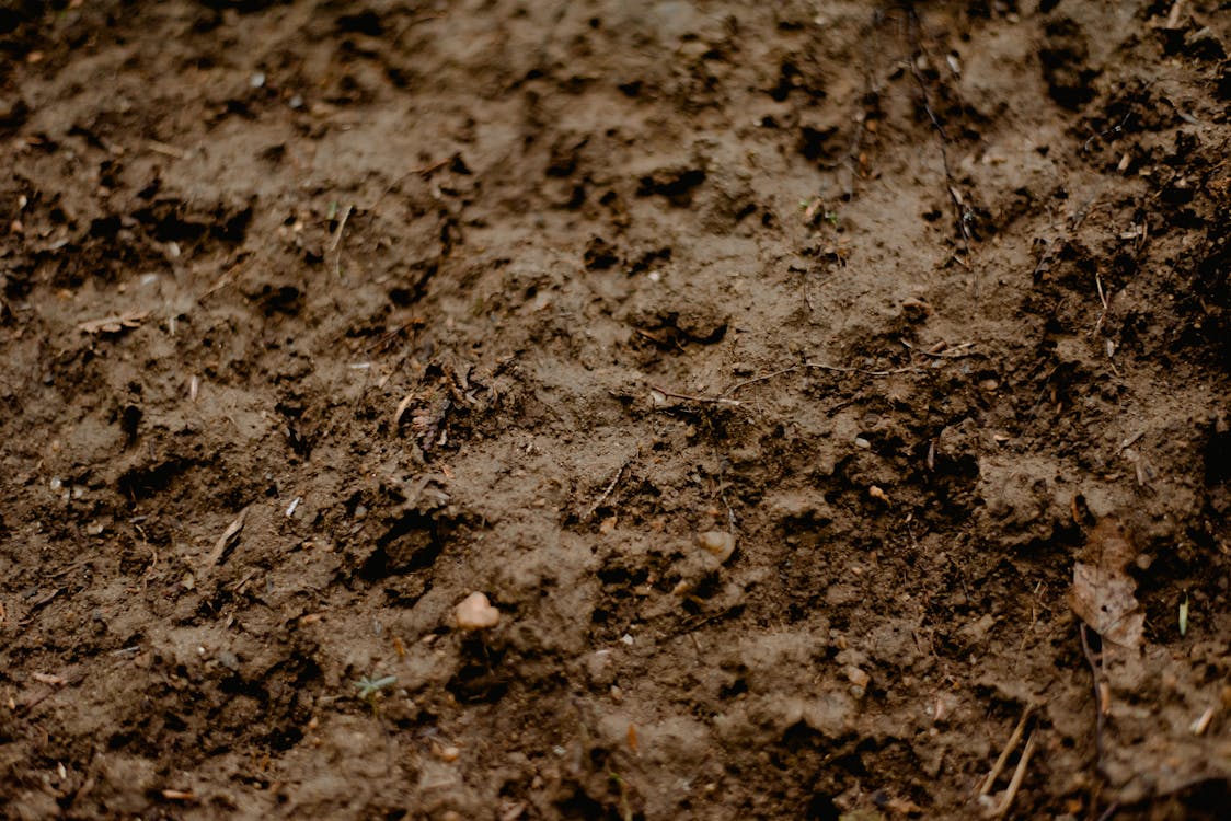 Dirt Ground Royalty-Free Images, Stock Photos & Pictures