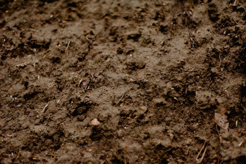 Full frame background of surface of brown wet dirty soil with small sticks