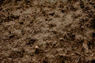 Dirty ground of soil with small stems