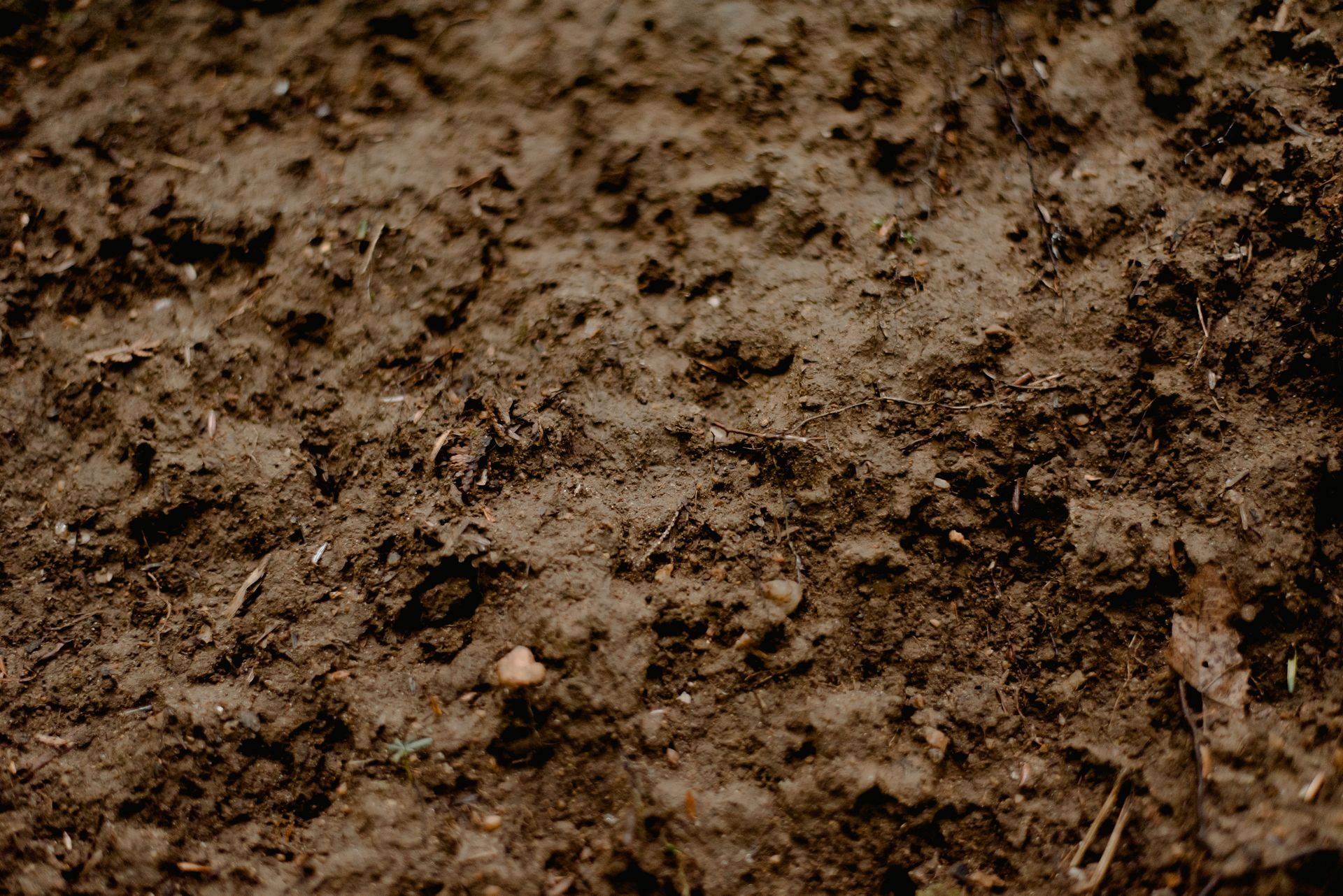 Full frame background of surface of brown wet dirty soil with small sticks
