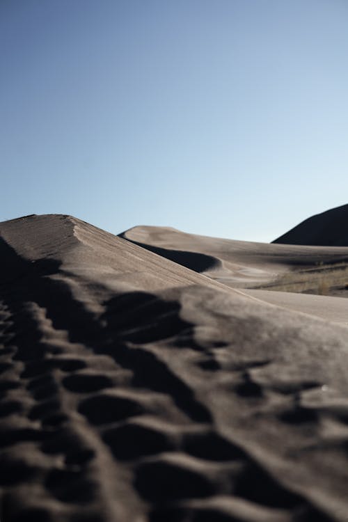 Gratis Immagine gratuita di alba, deserto, dune di sabbia Foto a disposizione