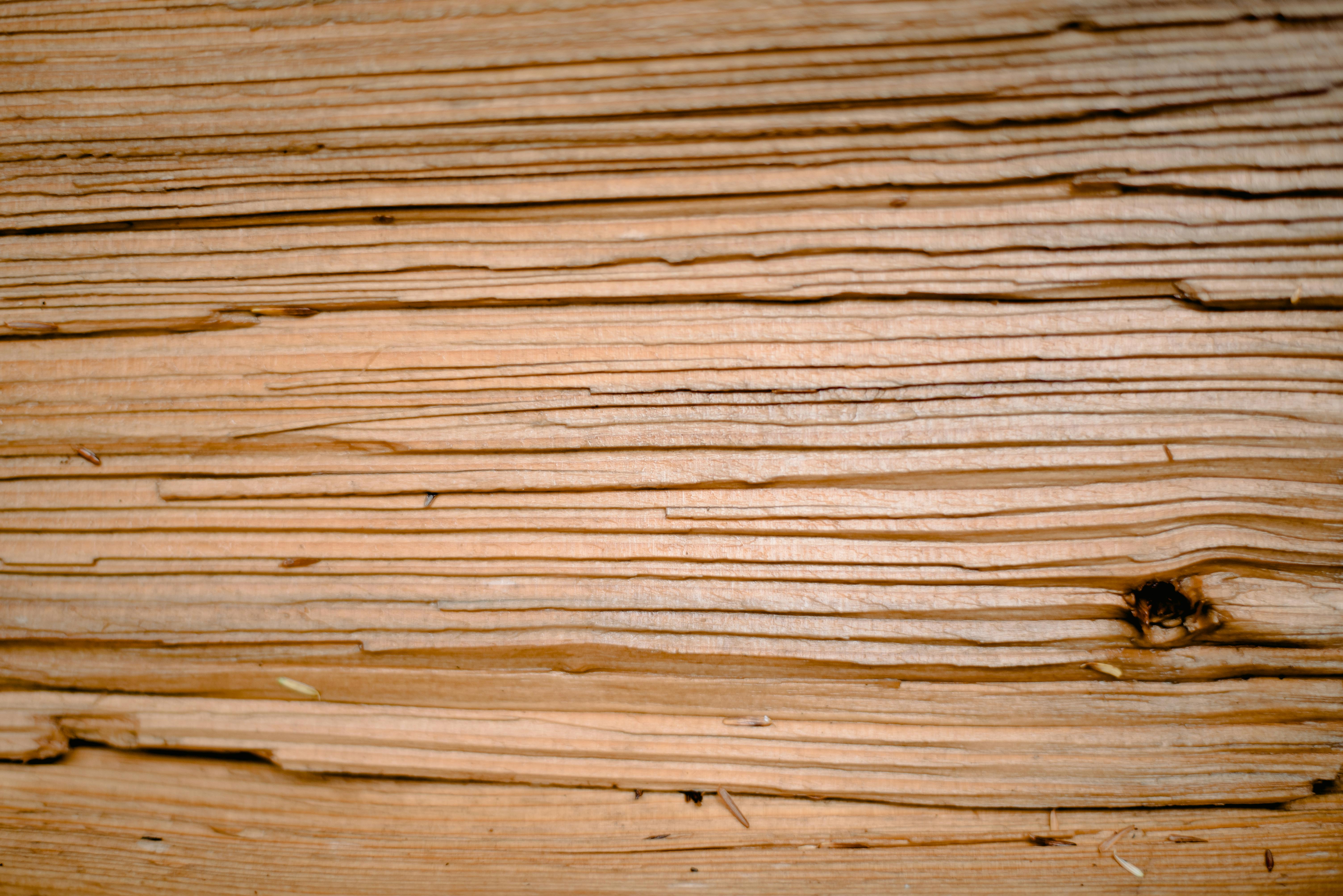 Wood Strips On White Wall Backgrounds Stock Photo - Download Image Now -  Construction Frame, Wood - Material, Plywood - iStock