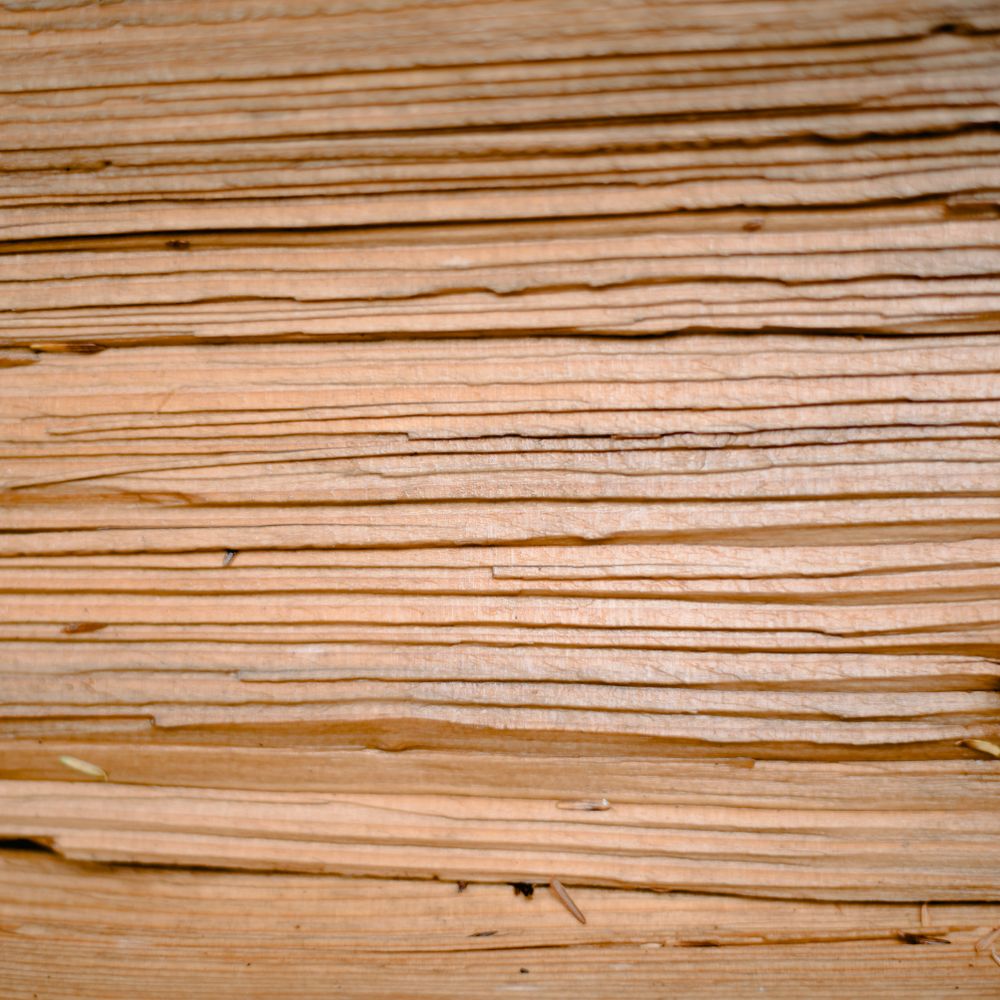 Fence and Decking Painting in Ealing — woodwork brushed to a crisp, smooth line