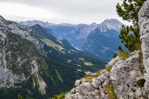 Rocky stone mountains with coniferous trees