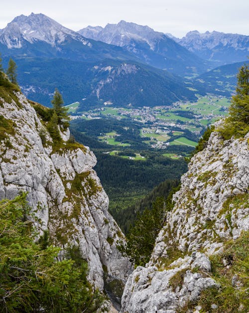 Sunny green valley with rocky mountains