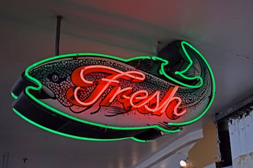 From below of illuminated neon fish shaped signboard with fresh inscription hanging on ceiling