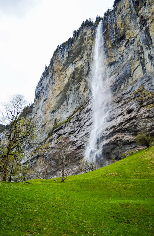 Fotobanka s bezplatnými fotkami na tému bezlistý, čerstvý, cestovať