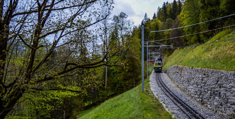 Railroad Tracks On Green Hill Slope In Mountainous Valley