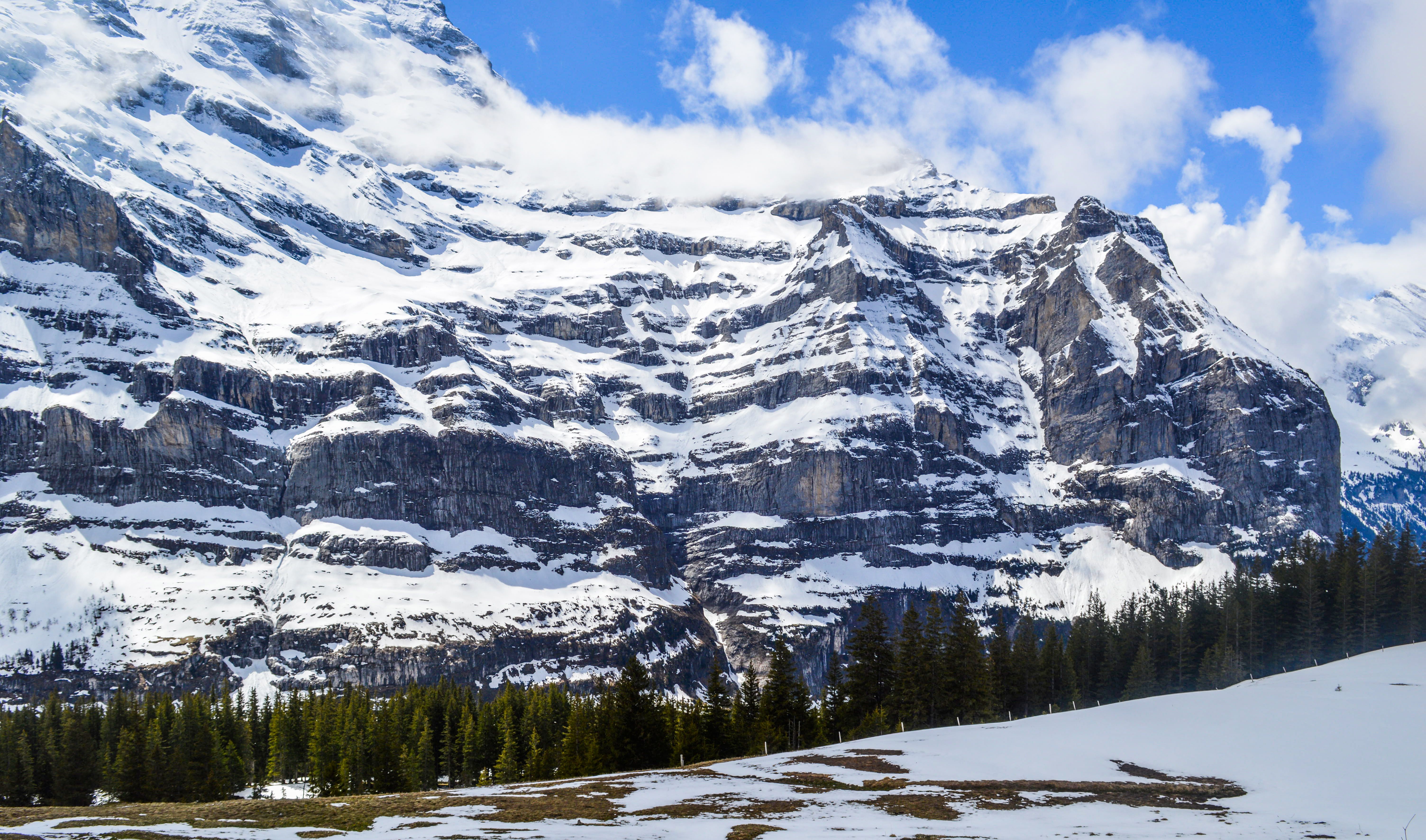 Snowy mountain ridge and woods · Free Stock Photo