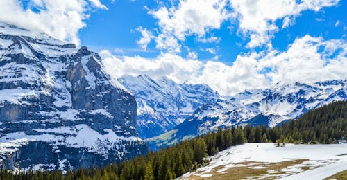 Scenic view of high snowy mounts near greenery trees under cloudy blue sky in winter