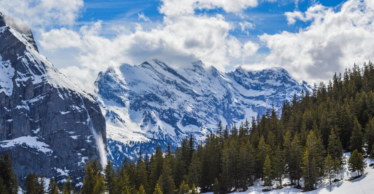 Amazing landscape of lush evergreen forest growing on slope of snowy mountain ridge in wild valley in Switzerland