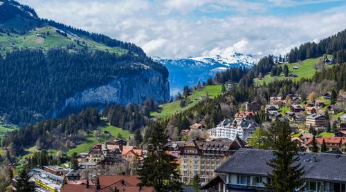 Free Small village with contemporary cottages located on grassy hill covered with spruce forest near mountains in sunny day Stock Photo