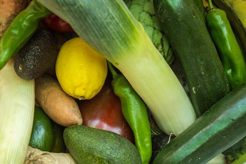 avokado, bitki yaşamı, doğal gıda içeren Ücretsiz stok fotoğraf