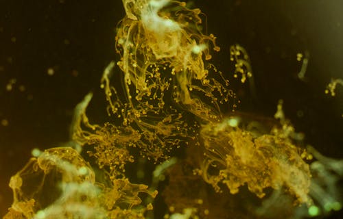 Mixing Colored Liquids in Close-up Shot