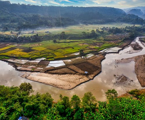 Free Scenic aerial view of vibrant rice paddies and river in Purwakarta, Indonesia. Stock Photo
