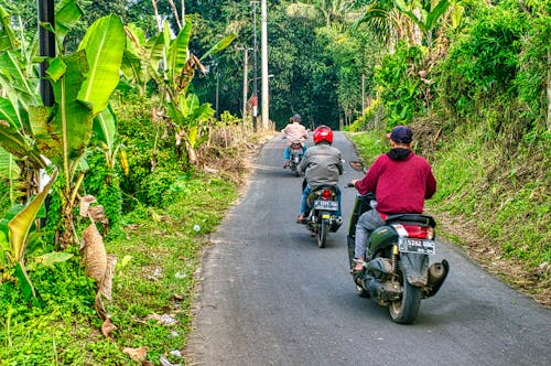Men Riding Motorcycles in the Rural Road