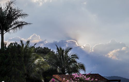 Fotobanka s bezplatnými fotkami na tému atardecer