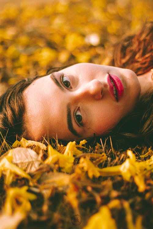 Foto stok gratis cantik, daun-daun berguguran, di luar rumah