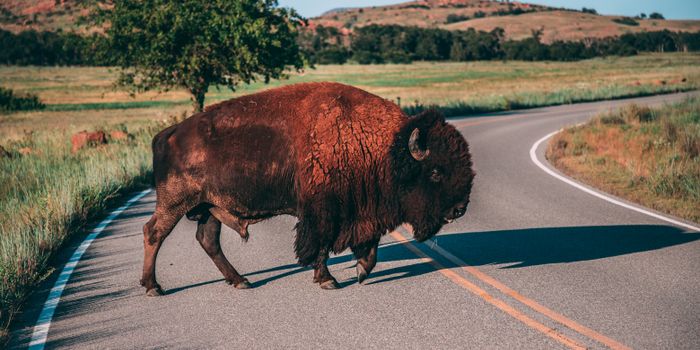 Wildlife refuge trails near Wichita Mountains