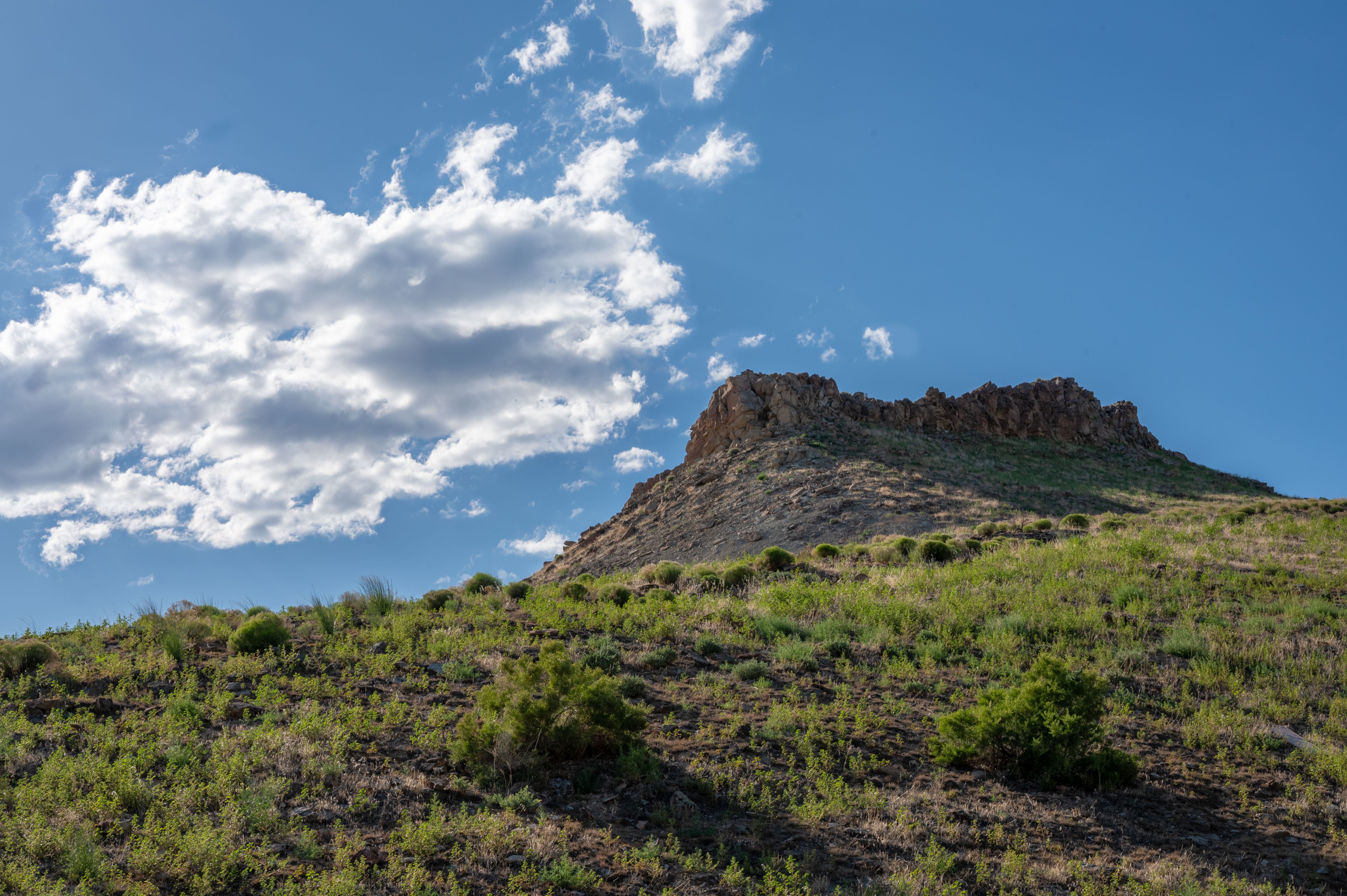 Wander Wonders Journey Chronicles