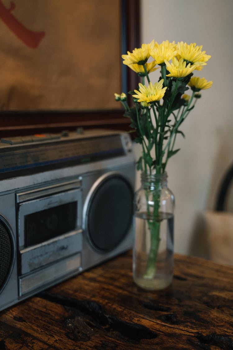 Flowers Near Vintage Radio