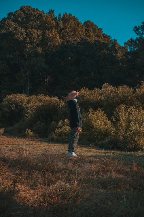 Immagine gratuita di alberi, campagna, campo d'erba