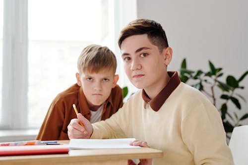 A Two Boys Studying Together 