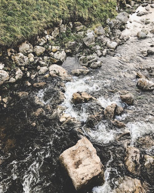 akan, akarsu, çay içeren Ücretsiz stok fotoğraf