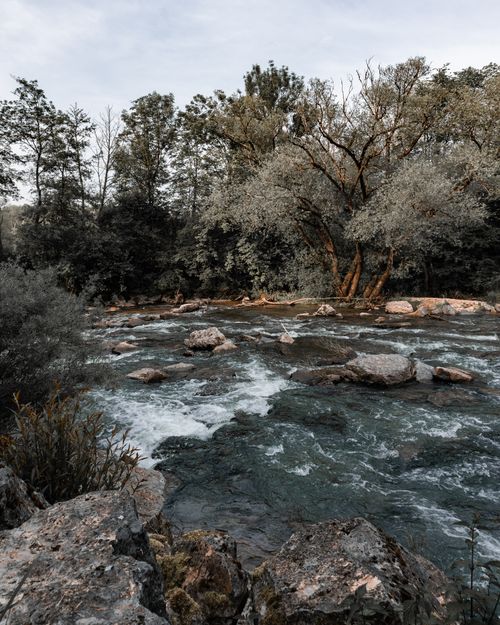 Free Serene river flowing through lush forest in Germany with rocks and trees Stock Photo