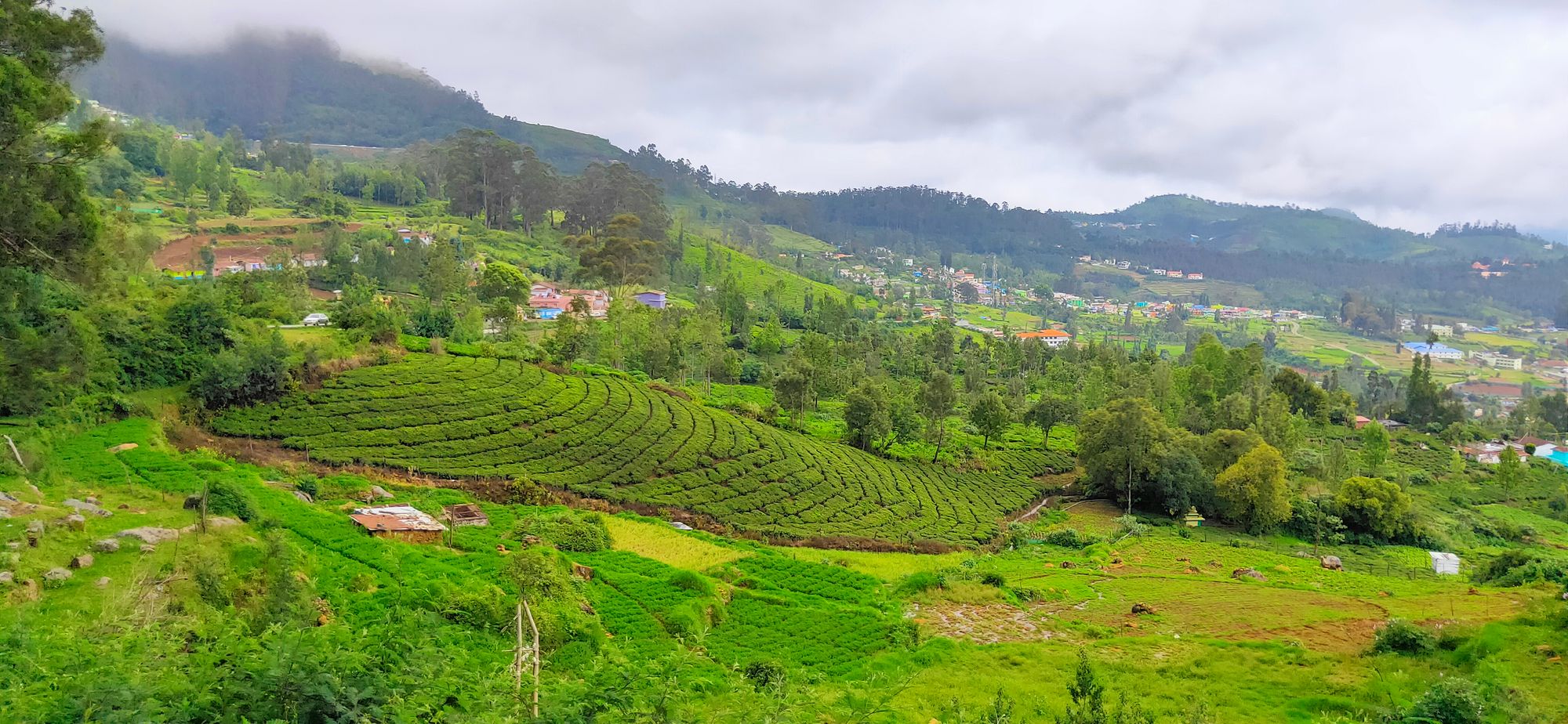 South India Tour Packages Gallery 4