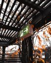 Green and White Street Sign