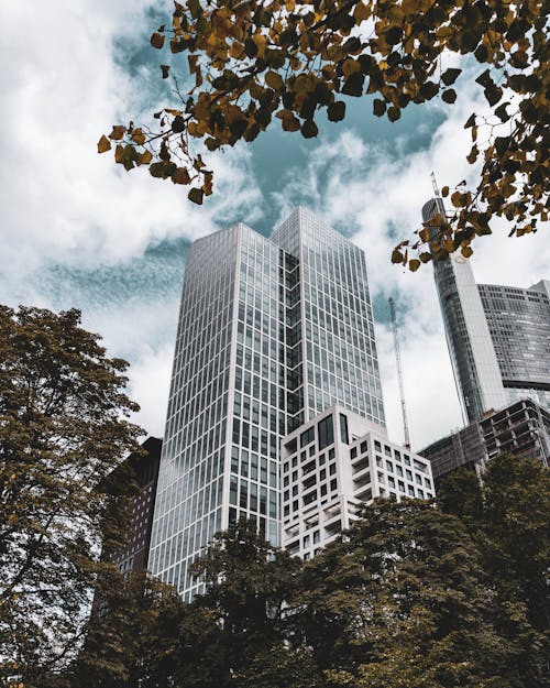 Free Skyscrapers among Trees Stock Photo