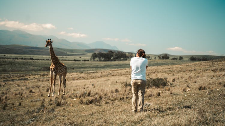 A Woman Taking A Photo Of A Giraffe 