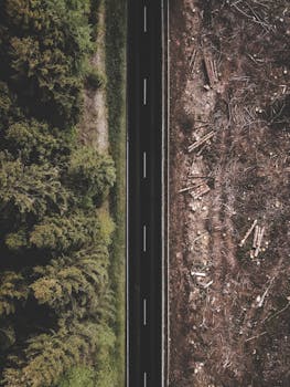 A striking aerial view contrasting dense forest with adjacent deforestation in Germany.