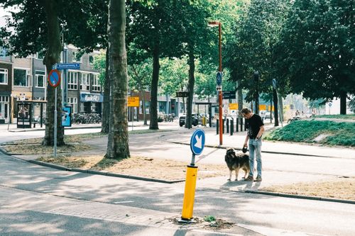 Free Full body of distant anonymous male owner standing on asphalt road with signs near trees with dog on leash with residential building in distance on street in city Stock Photo