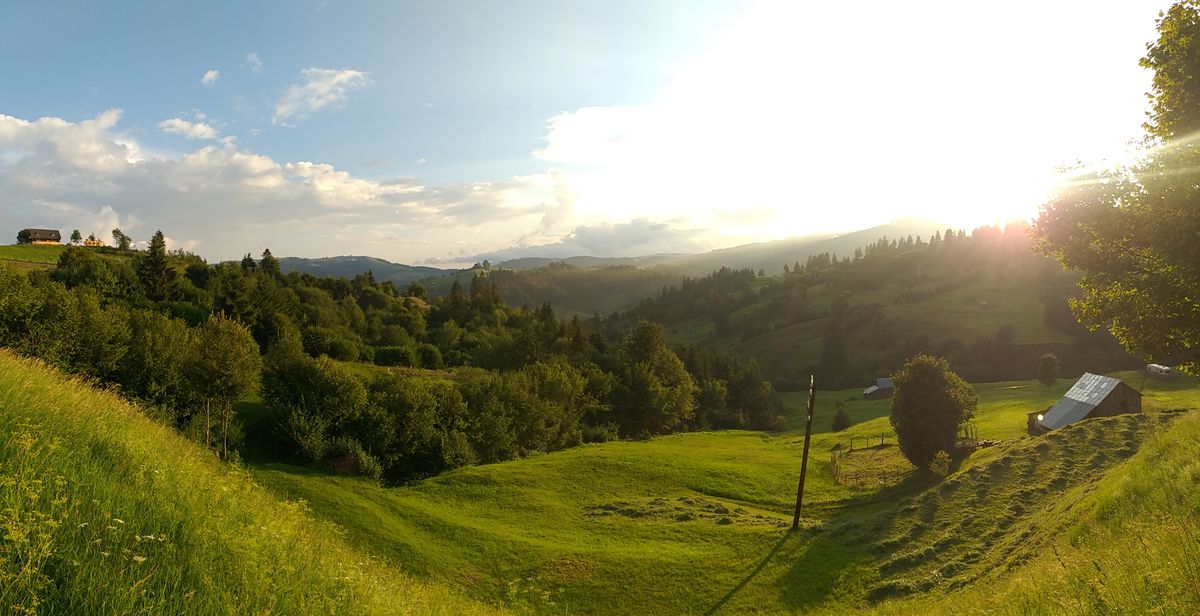 Dealuri cosite din Maramures in lumina de seara, panoramic