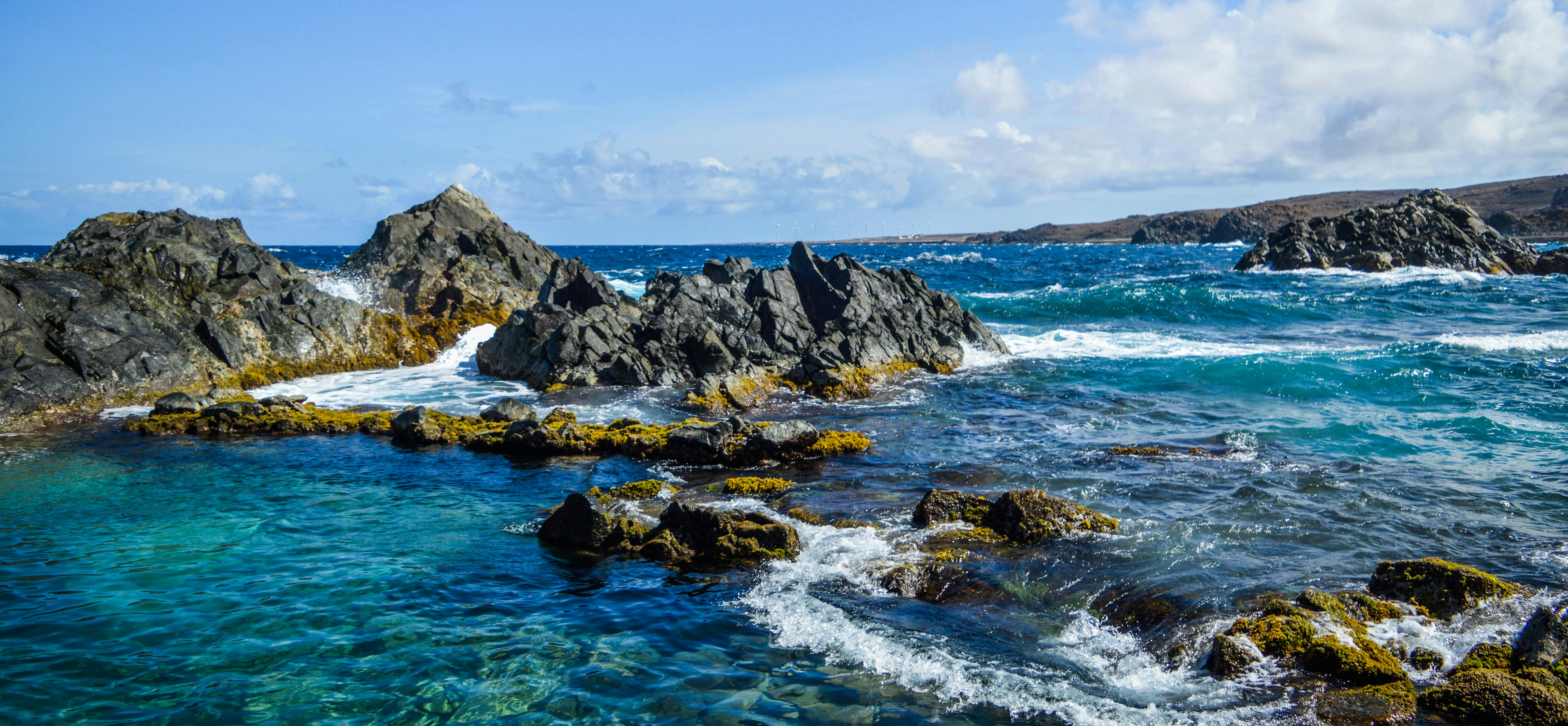 Maintaining Your ICI Syringe Between Cycles