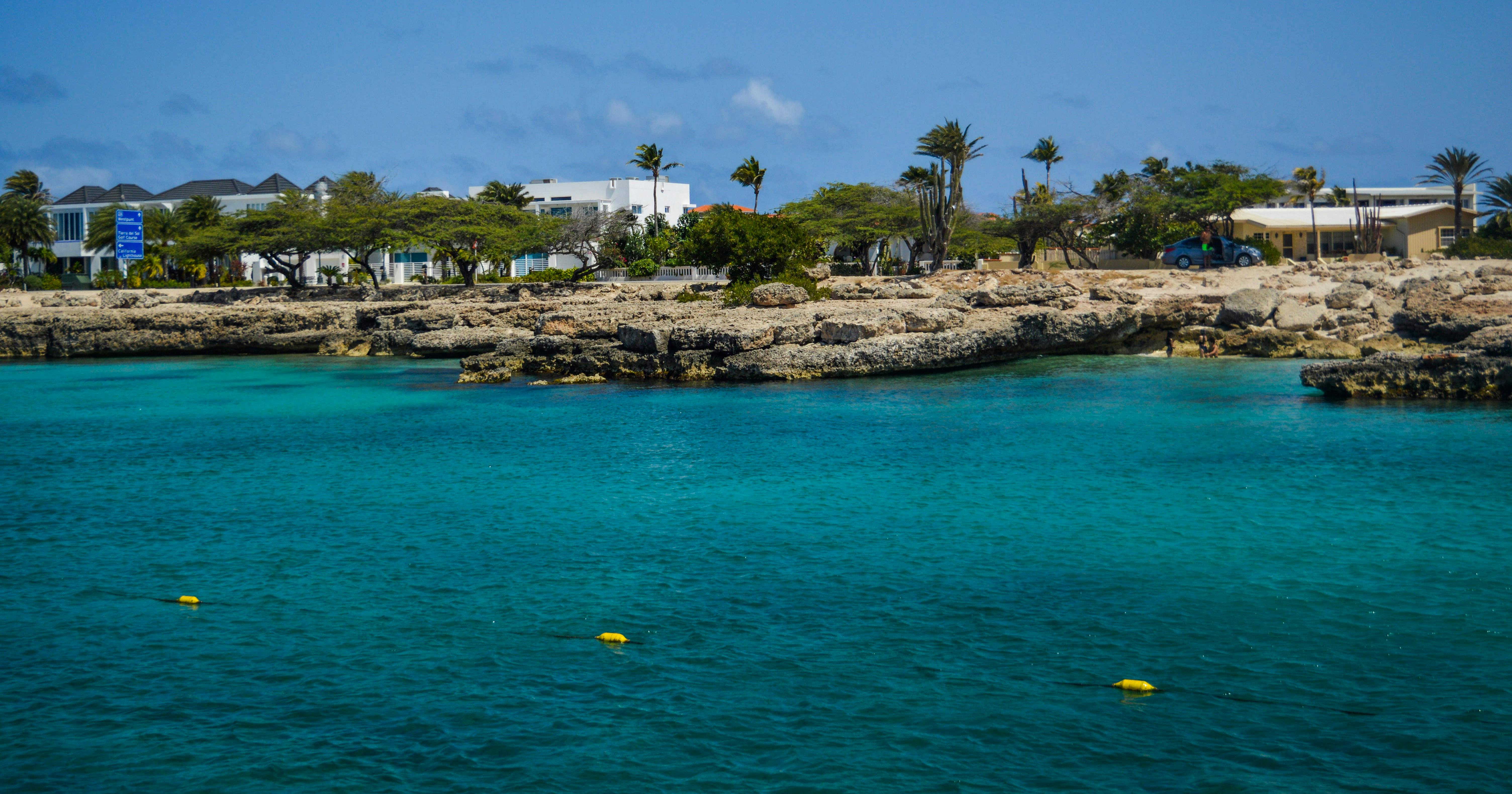 ICI Kits Designed for Frozen Donor Sperm