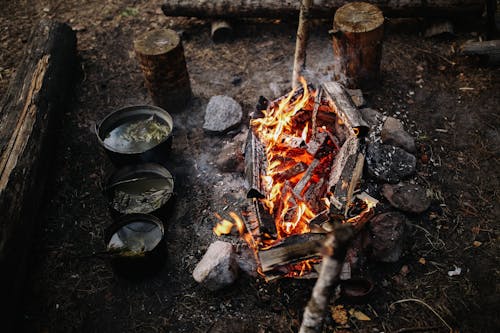 бесплатная Бесплатное стоковое фото с горение, древесный уголь, жара Стоковое фото