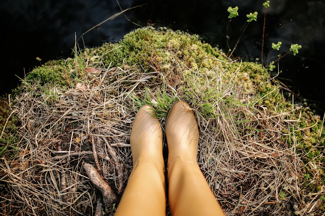 Free Persons Feet on Brown Dried Grass Stock Photo