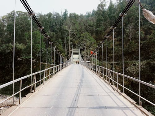 Δωρεάν στοκ φωτογραφιών με γέφυρα, γέφυρες, δασικός Φωτογραφία από στοκ φωτογραφιών