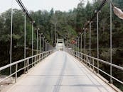 Suspension Bridge Leading to Forest