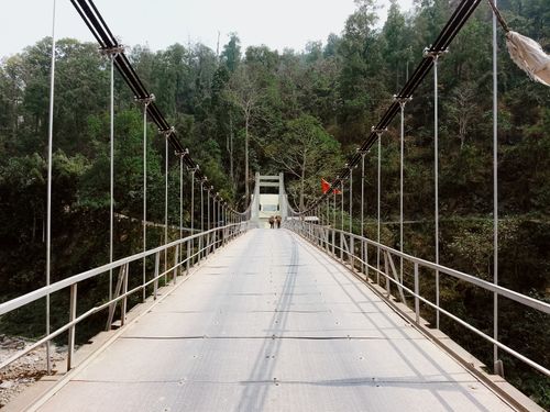 Free A suspension bridge spans a forested valley, leading the way with natural beauty. Stock Photo
